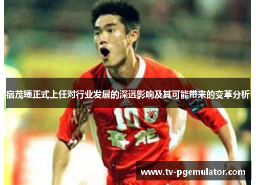 宿茂臻正式上任对行业发展的深远影响及其可能带来的变革分析