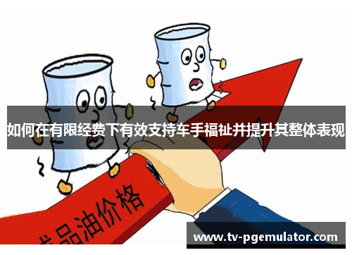 如何在有限经费下有效支持车手福祉并提升其整体表现