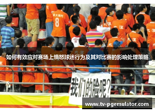 如何有效应对赛场上愤怒球迷行为及其对比赛的影响处理策略