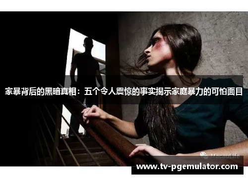 家暴背后的黑暗真相：五个令人震惊的事实揭示家庭暴力的可怕面目