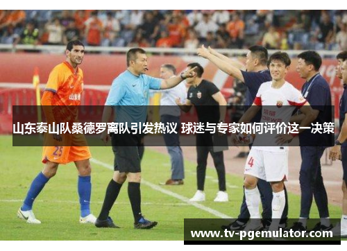 山东泰山队桑德罗离队引发热议 球迷与专家如何评价这一决策