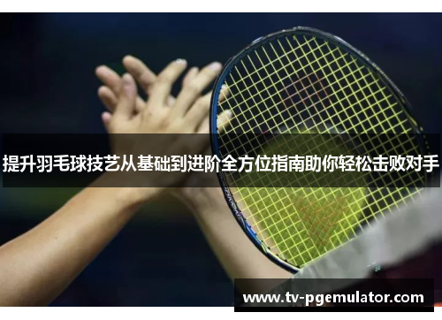 提升羽毛球技艺从基础到进阶全方位指南助你轻松击败对手