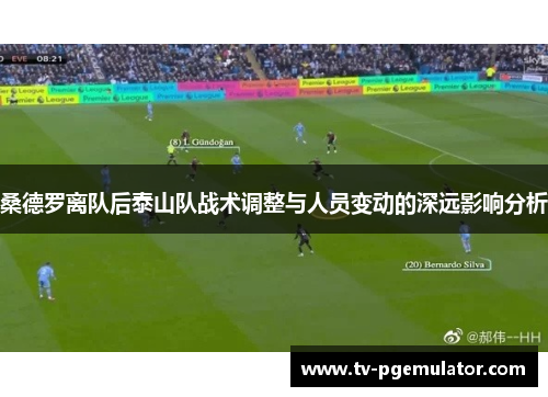 桑德罗离队后泰山队战术调整与人员变动的深远影响分析
