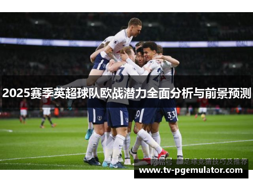 2025赛季英超球队欧战潜力全面分析与前景预测