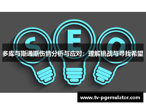 多库与斯通斯伤情分析与应对：理解挑战与寻找希望