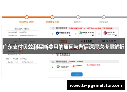 广东支付贝兹利买断费用的原因与背后深层次考量解析