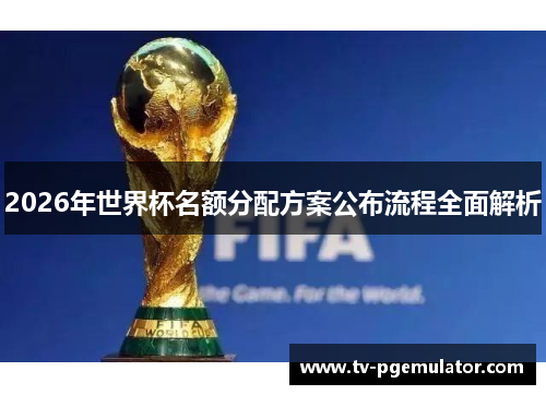 2026年世界杯名额分配方案公布流程全面解析