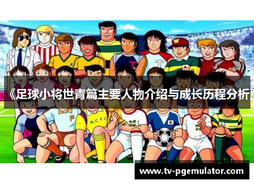 《足球小将世青篇主要人物介绍与成长历程分析》