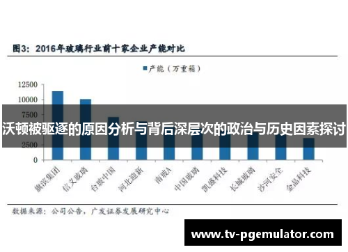 沃顿被驱逐的原因分析与背后深层次的政治与历史因素探讨