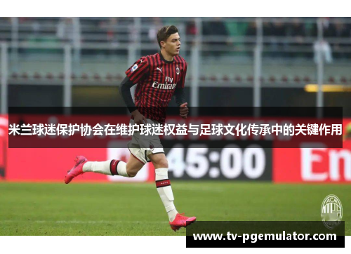 米兰球迷保护协会在维护球迷权益与足球文化传承中的关键作用
