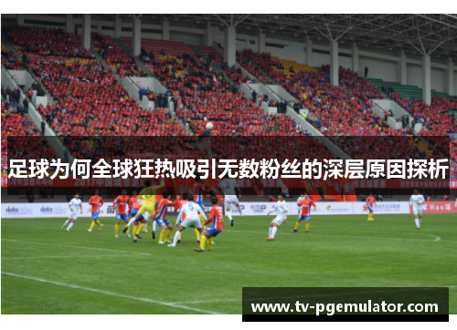 足球为何全球狂热吸引无数粉丝的深层原因探析