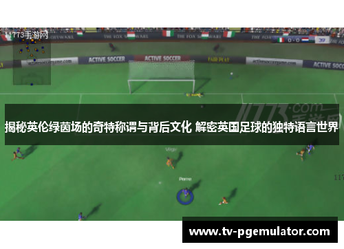 揭秘英伦绿茵场的奇特称谓与背后文化 解密英国足球的独特语言世界