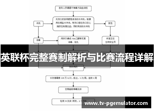 英联杯完整赛制解析与比赛流程详解