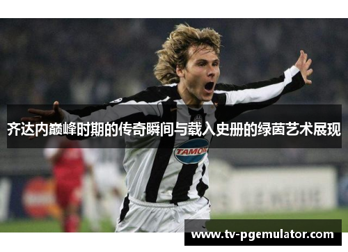 齐达内巅峰时期的传奇瞬间与载入史册的绿茵艺术展现